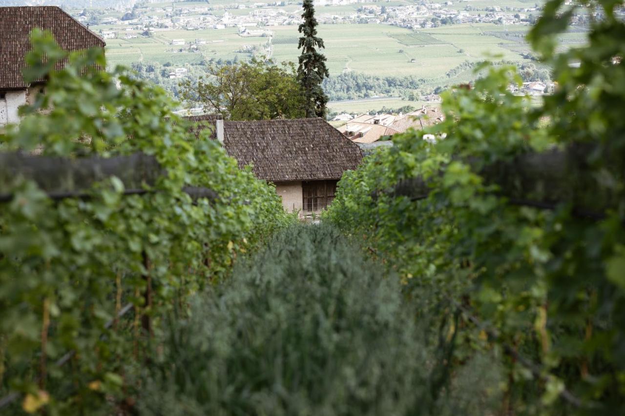 Ansitz Montani Eppan Daire Appiano Sulla Strada Del Vino Dış mekan fotoğraf